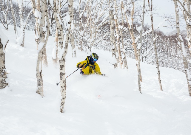 Off-piste skiløb i Niseko