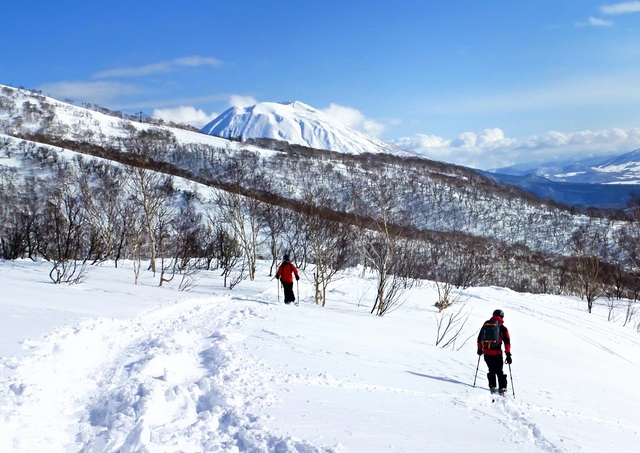 Off-piste skiløb i Niseko