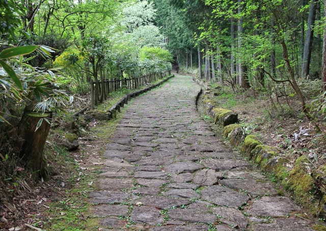 Nakasendo vejen