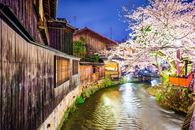 Shirakawa-floden om natten i Gion