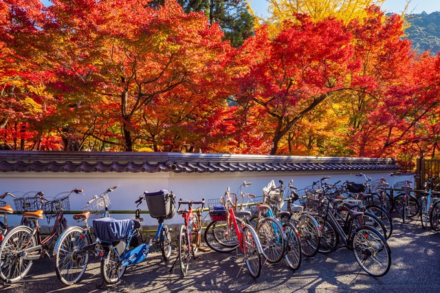 Cykler i Kyoto