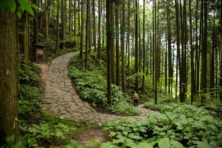 Nakasendo sporet