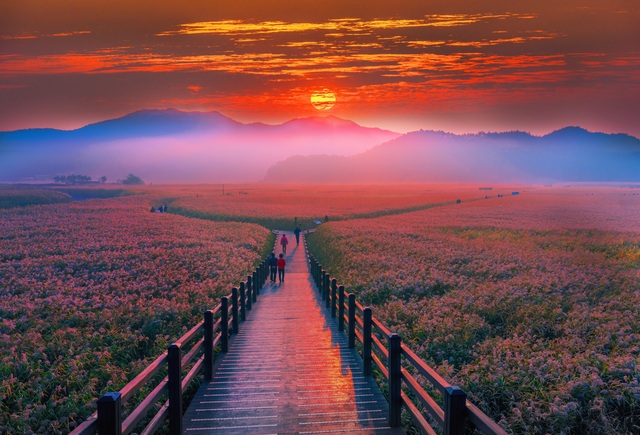 Suncheon bugten, Yeosu