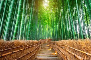 Bambusskov, Arashiyama