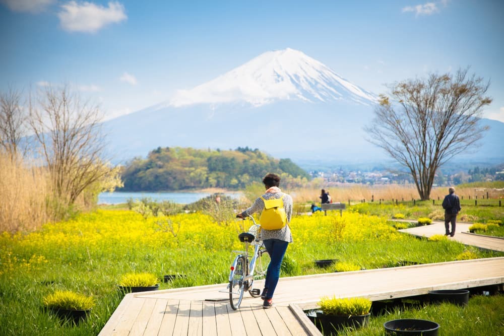 Fuji-bjerget med sne og blomsterhave langs træbroen ved Kawaguchiko-søen i Japan