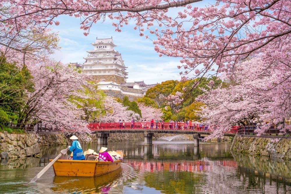 Japan Himeji slot, White Heron Castle i smuk sakura-kirsebærblomstsæson