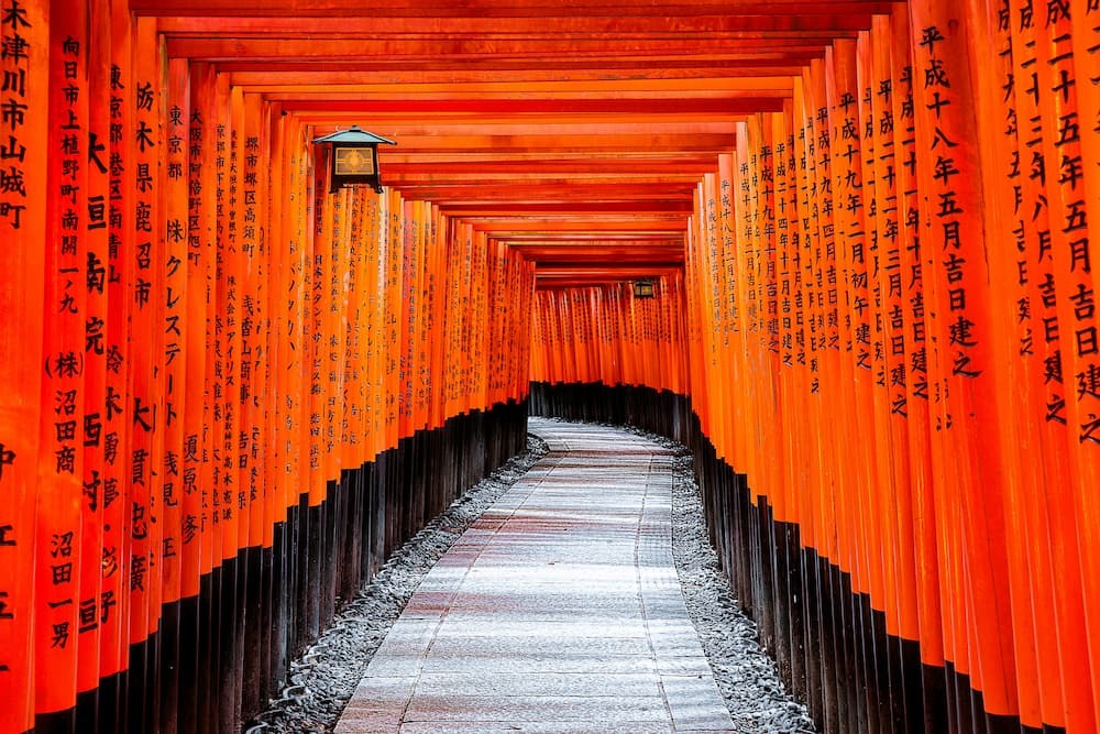 Fushimi Inari-helligdommen i Kyoto, Japan, med tusindvis af orange cinnoberrøde torii-porte
