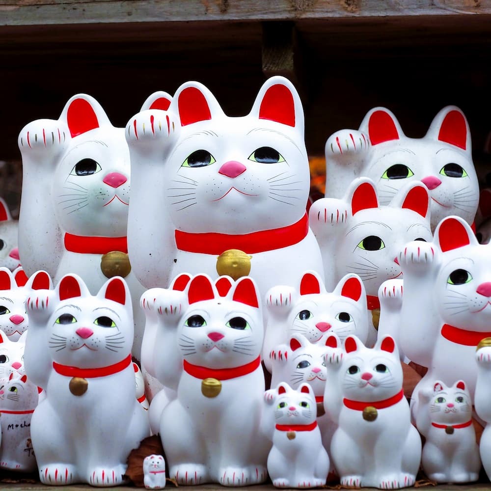 Maneki-neko heldige katte ved Goutokuji Shrine, Tokyo, Japan