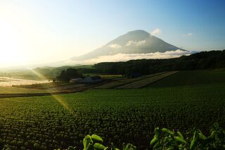 Mt. Yotei om sommeren, Niseko