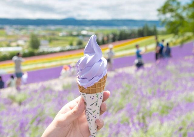 Hokkaido-is på Furanos blomstermarker