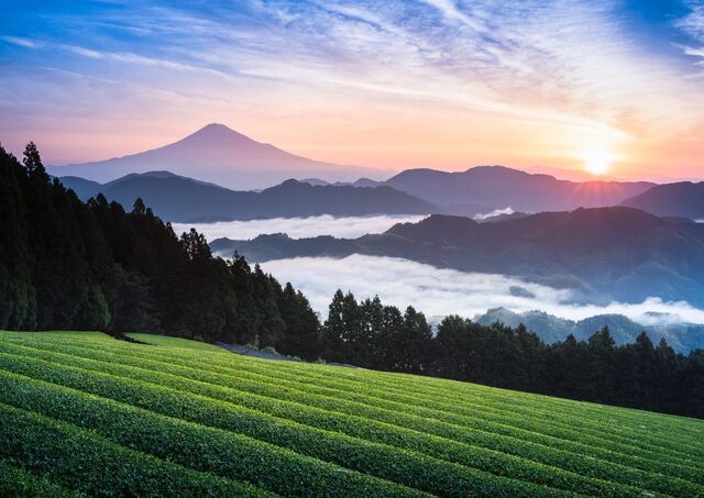 Mount Fuji spejler sig over havets overflade, Japan