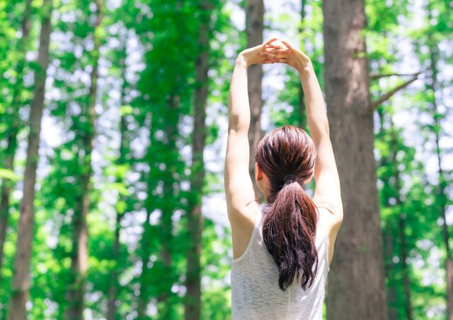 Kvinde praktiserer skovbadning i frodig skov, Japan