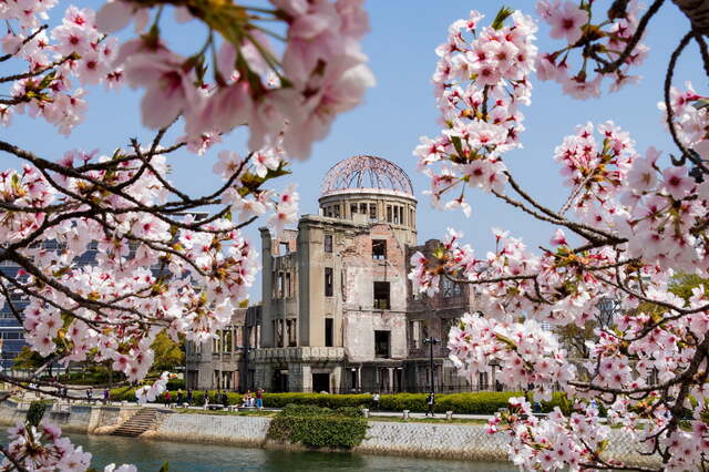Atombombe-kuplen med kirsebærtræer, Hiroshima
