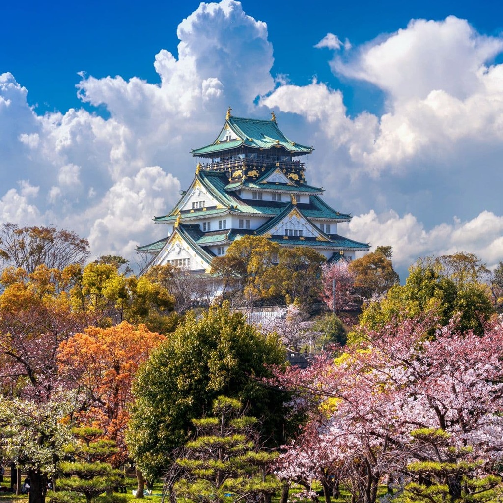 Osaka-slottet under kirsebærblomstringen 