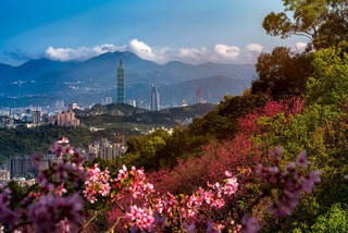 Forårspanorama over Taipei med skyskrabere