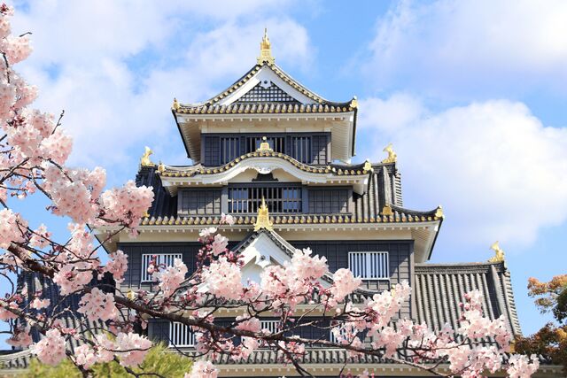 Okayama slot i Japan, også kendt som Krageslottet på grund af sin sorte yderside