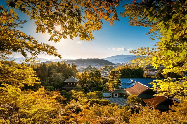 Efterårsfarvede ahornblade indrammer udsigten over Ginkaku-ji-templet og Kyoto på en solrig dag