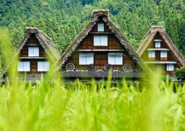 Traditionelle gassho-zukuri-huse, Shirakawa-go