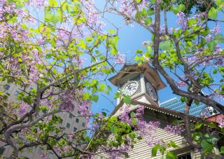 Klokketårnet i Sapporo