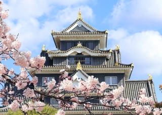 Okayama Castle om foråret