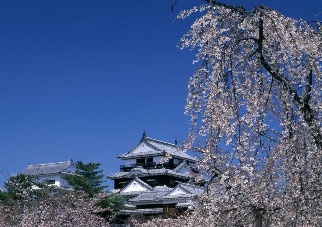 Matsuyama Castle