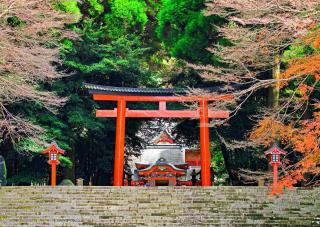 Kirishima Jingu helligdommens torii-port