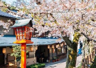 Landsbyen Kinosaki Onsen med kirsebærblomster om foråret