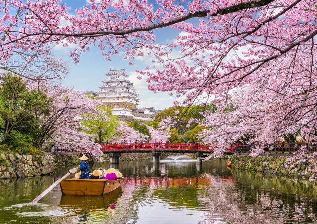 Sejltur ved Himeji Castle under kirsebærblomstringen