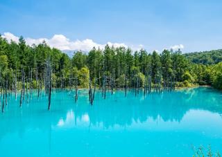 Shirogane Blue Pond i Biei