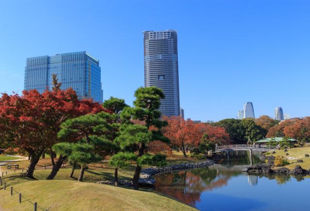Hamarikyu haven, Tokyo
