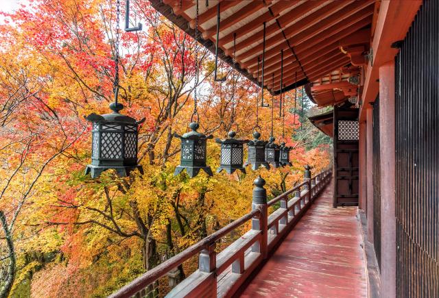 Tanzan helligdommen, Nara