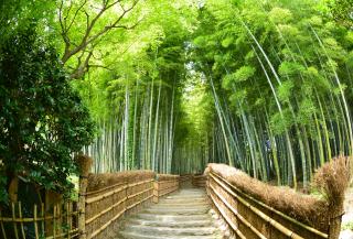 Fushimi Inari helligdommen, Kyoto