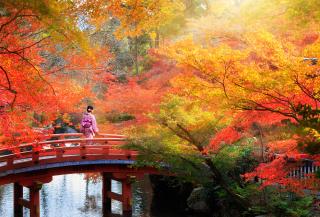 Japan om efteråret