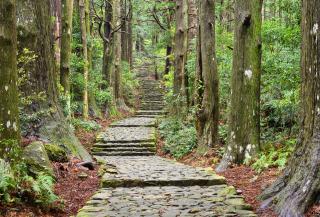 Kumano Kodo pilgrimsrejse