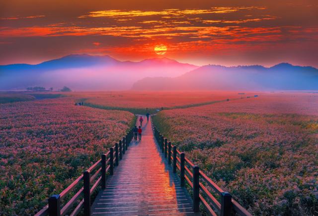 Suncheon bugten, Yeosu