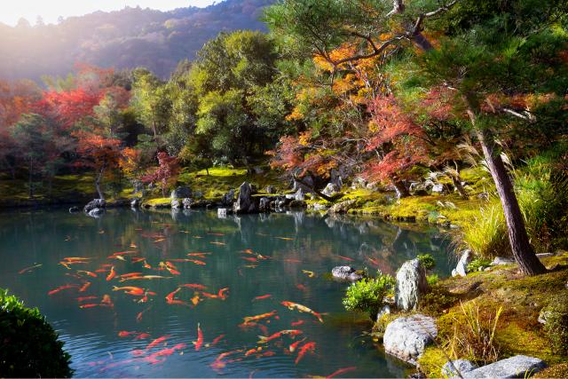 Tenryu-ji-templet, Arashiyama