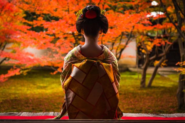 Maiko-middag, Kyoto