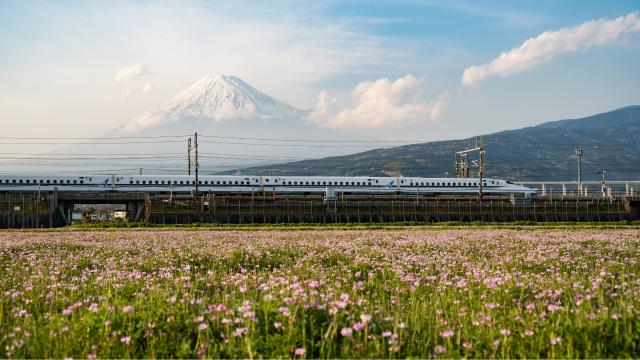 Shinkansen-tog og Mt. Fuji