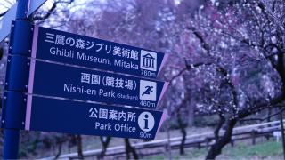 Tur til Ghibli Museum