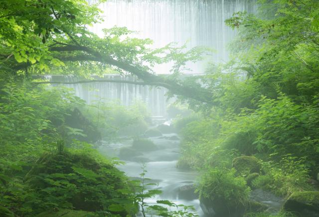 Kitanisawa-bjergbækken, Mount Daisen, Tottori