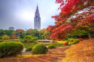 Shinjuku Gyoen-parken, Tokyo