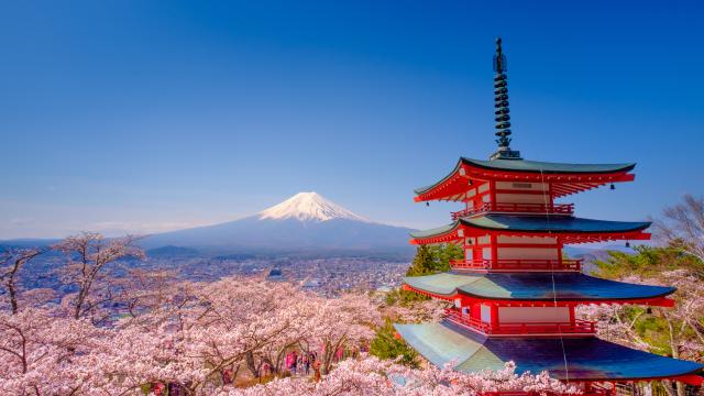 Fujibjerget om foråret