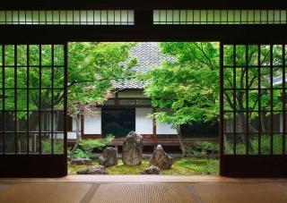 Japanske haver i Kyoto