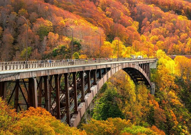 Jogakura-broen i Aomori-præfekturet med blade i efterårsfarver i baggrunden. En fin udsigt ud over Jyogakurakeiryu-vandløbet, et berømt sted i Towada-Hachimantai Nationalparken 