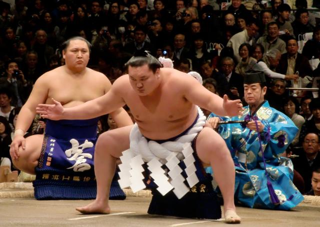 Pensioneret sumobryder Hakuho 