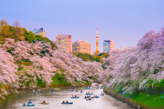 Chidorigafuchi Park, Tokyo