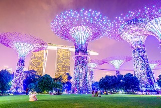 Oplyste supertrees, Singapore